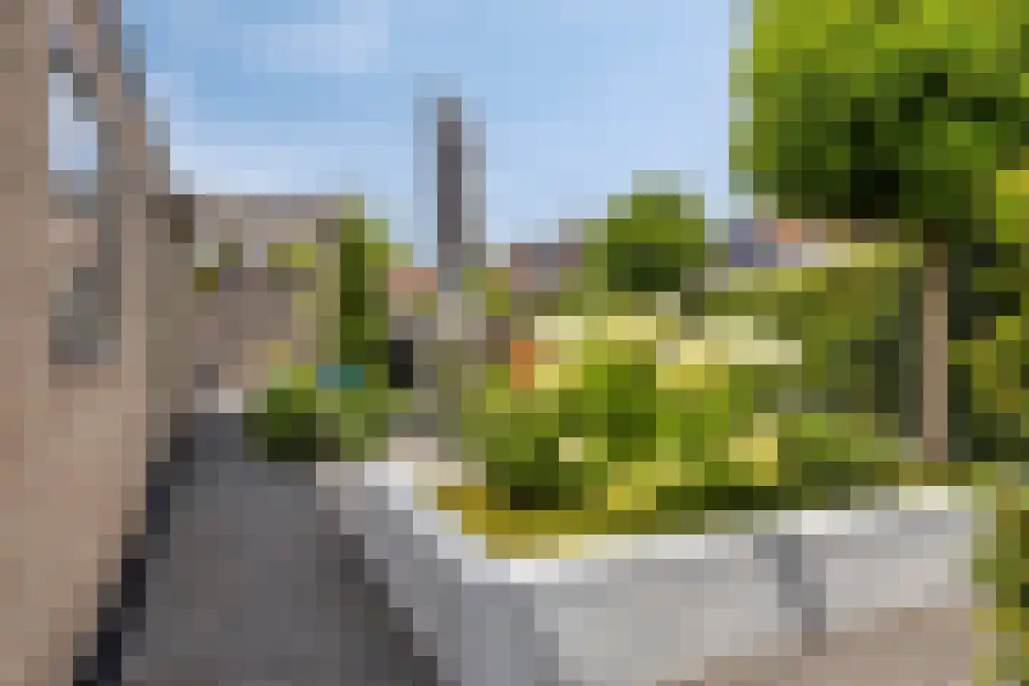 Oranjerie 11 Tholen thumbnail 59