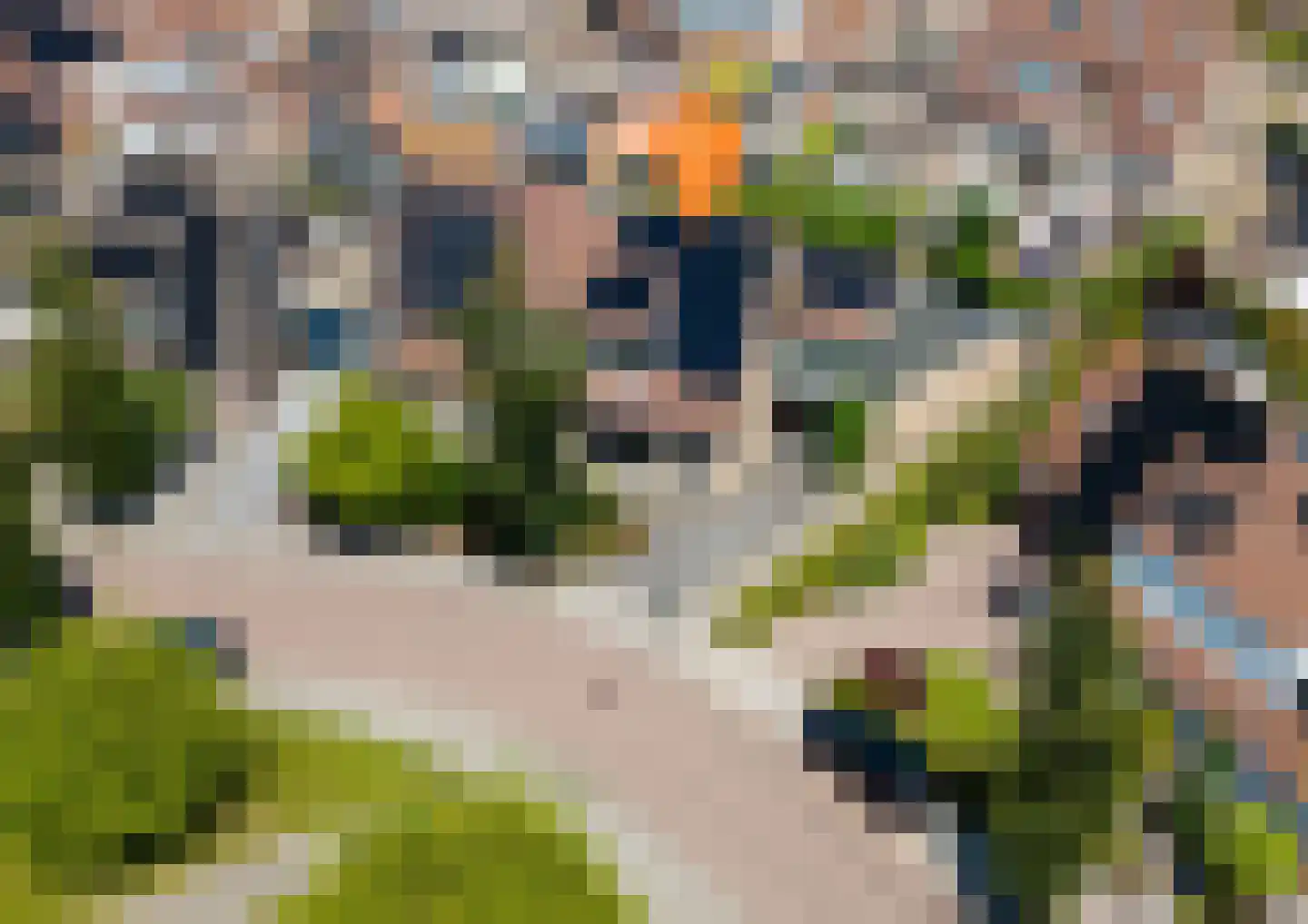Oranjerie 11 Tholen thumbnail 6