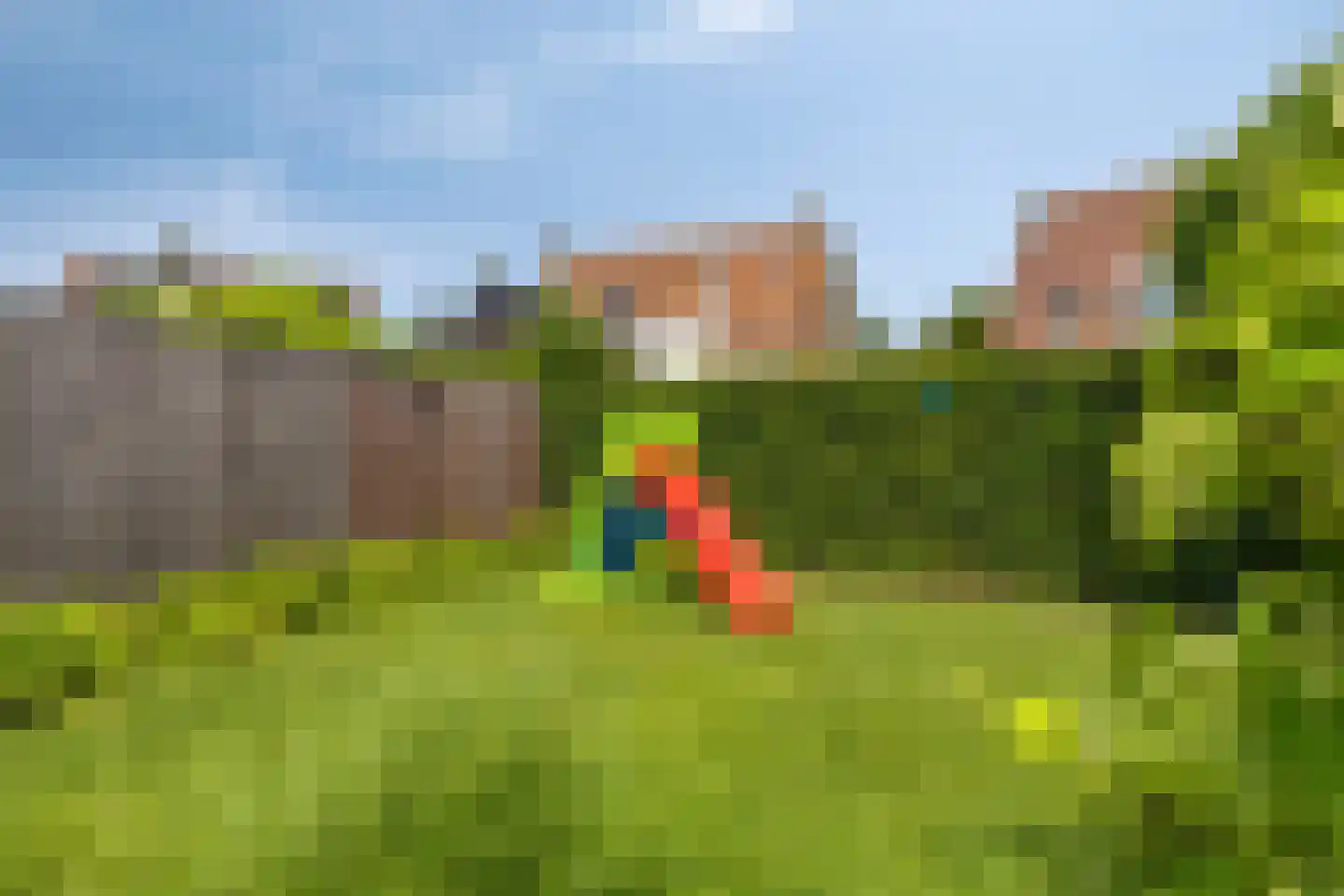 Oranjerie 11 Tholen thumbnail 61