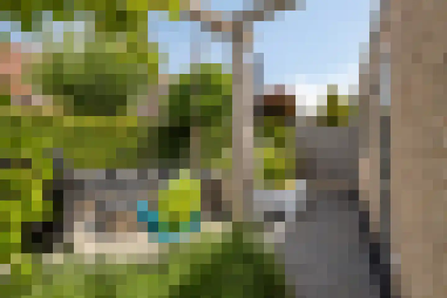 Oranjerie 11 Tholen thumbnail 64