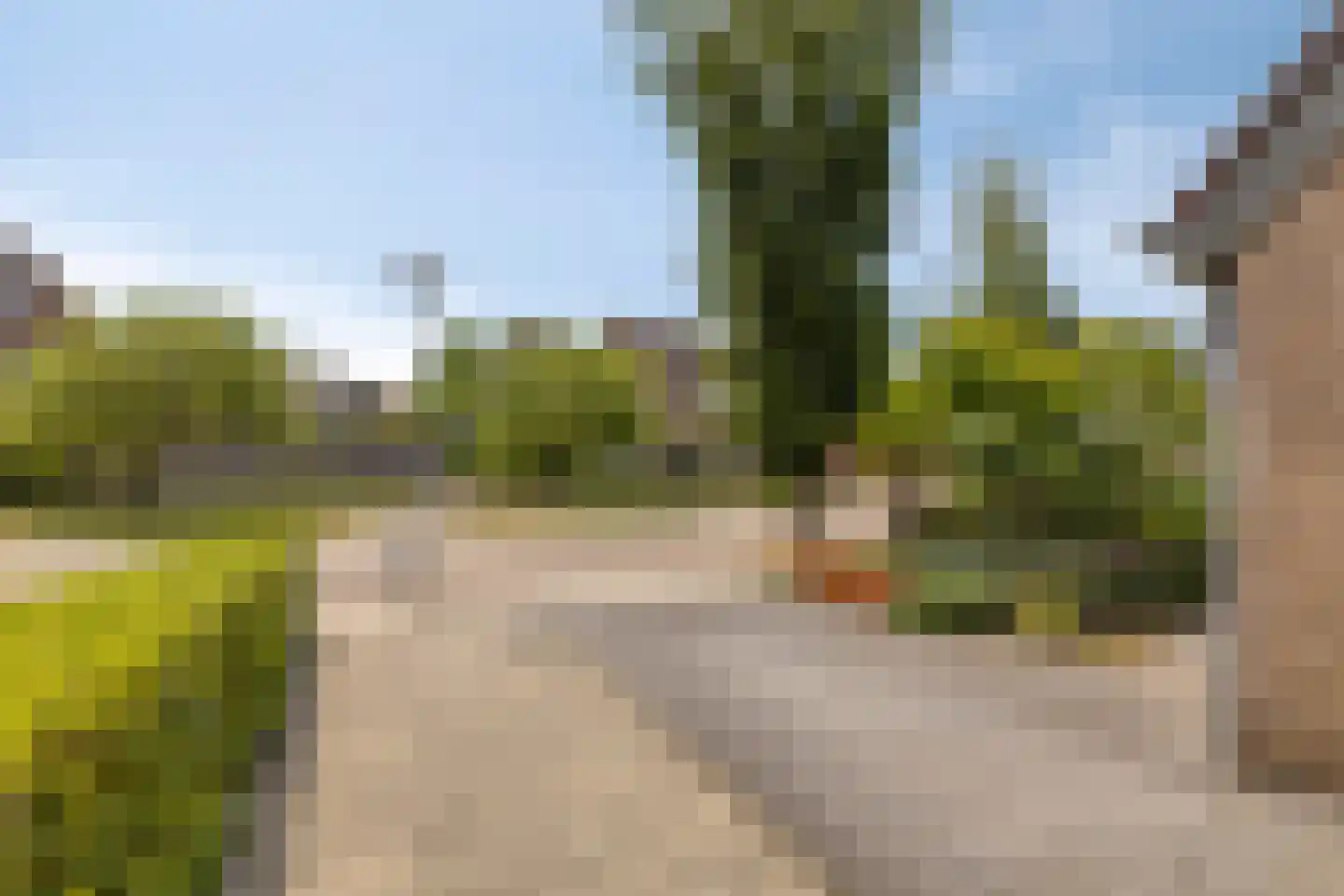 Oranjerie 11 Tholen thumbnail 67