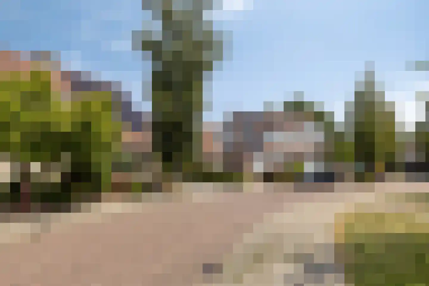 Oranjerie 11 Tholen thumbnail 68