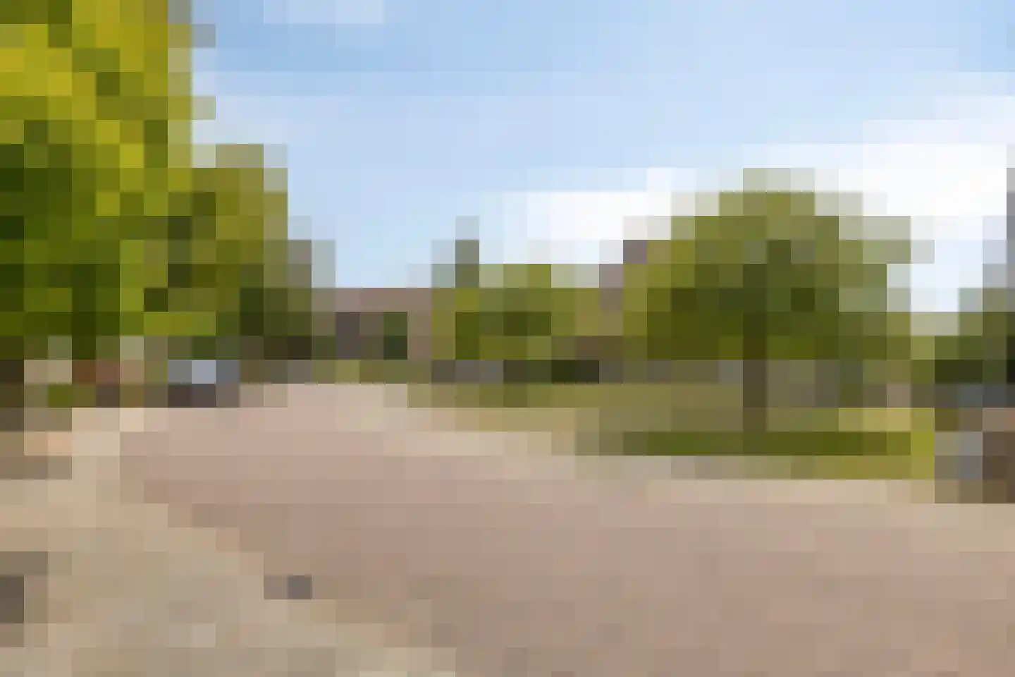 Oranjerie 11 Tholen thumbnail 72
