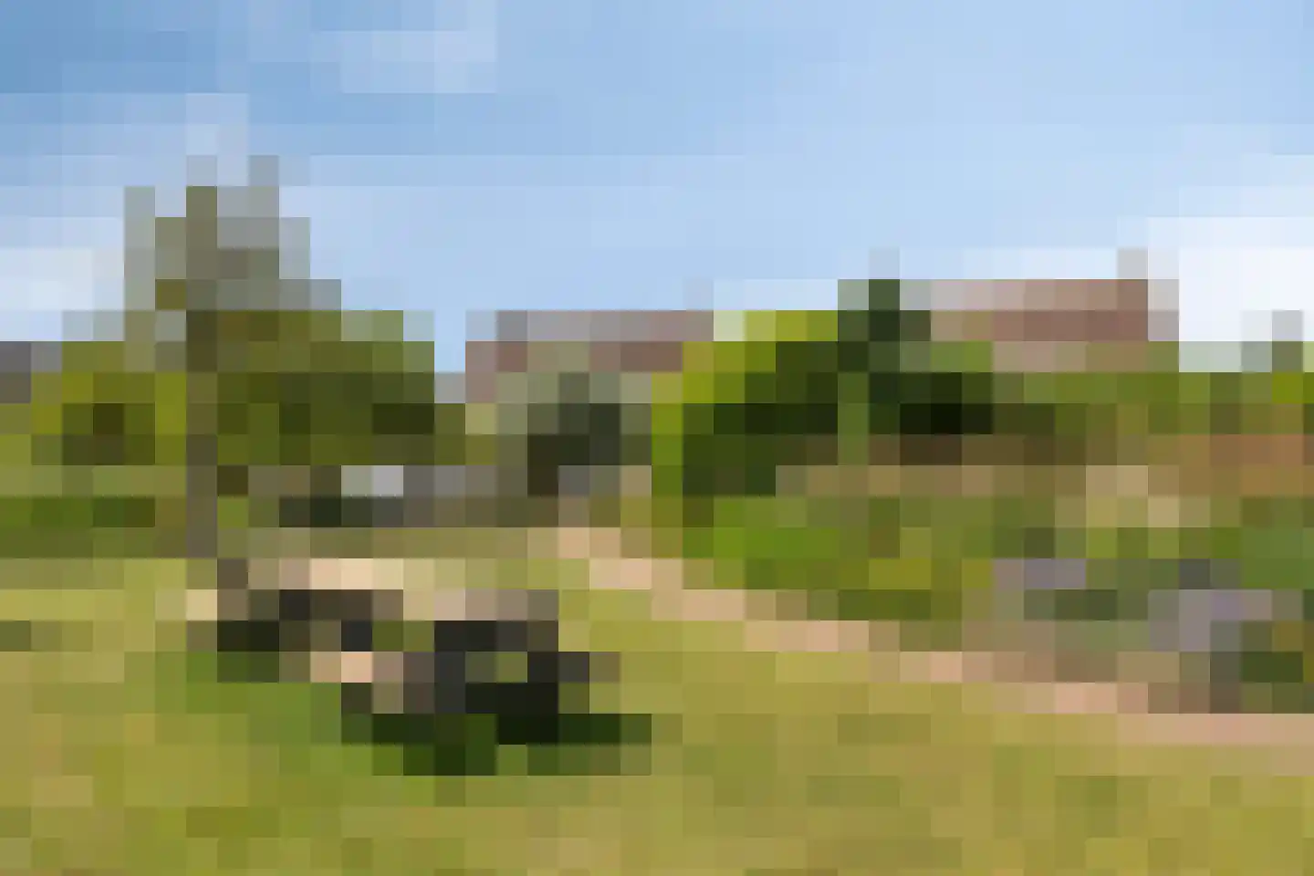Oranjerie 11 Tholen thumbnail 73