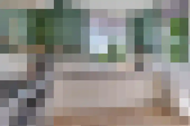 Oranjerie 15 De Goorn thumbnail 10