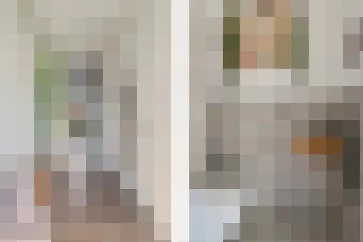Oranjerie 15 De Goorn thumbnail 12