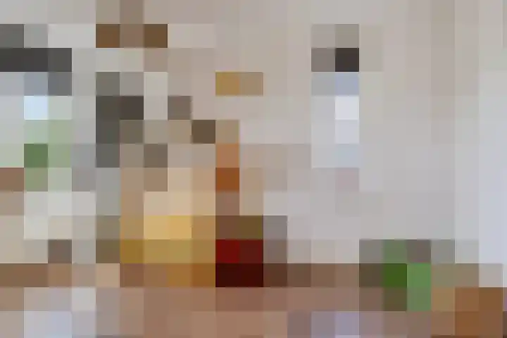 Oranjerie 15 De Goorn thumbnail 17