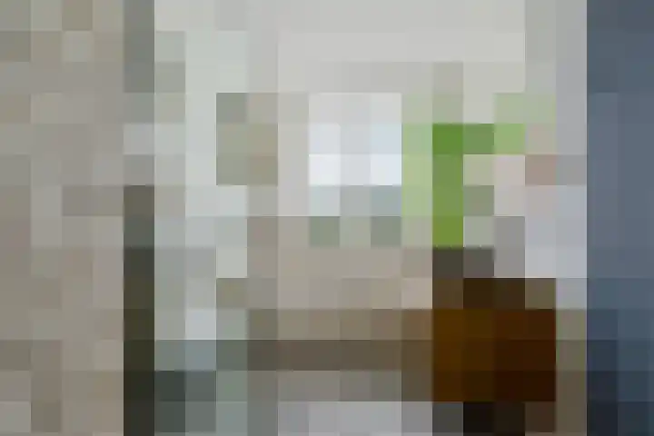 Oranjerie 15 De Goorn thumbnail 20