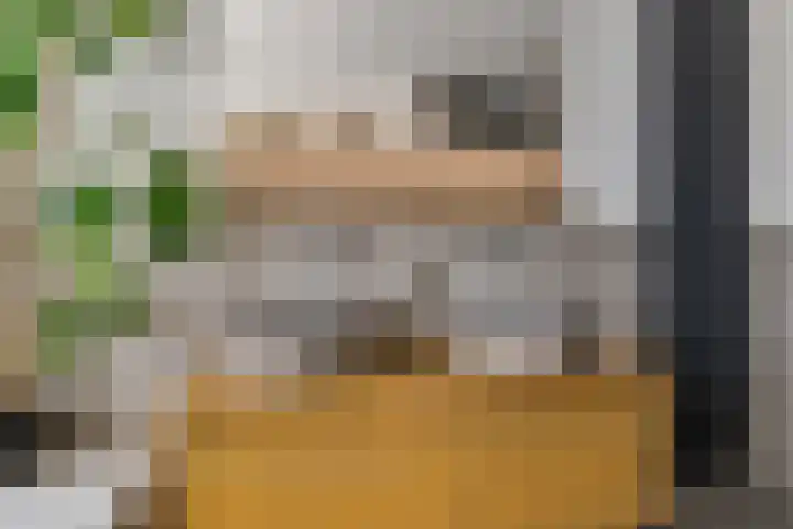 Oranjerie 15 De Goorn thumbnail 21