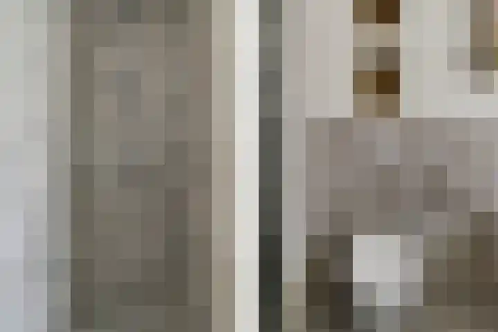 Oranjerie 15 De Goorn thumbnail 22