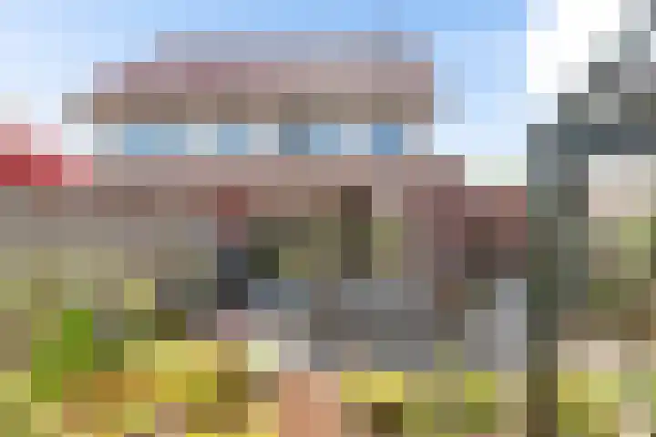 Oranjerie 15 De Goorn thumbnail 26