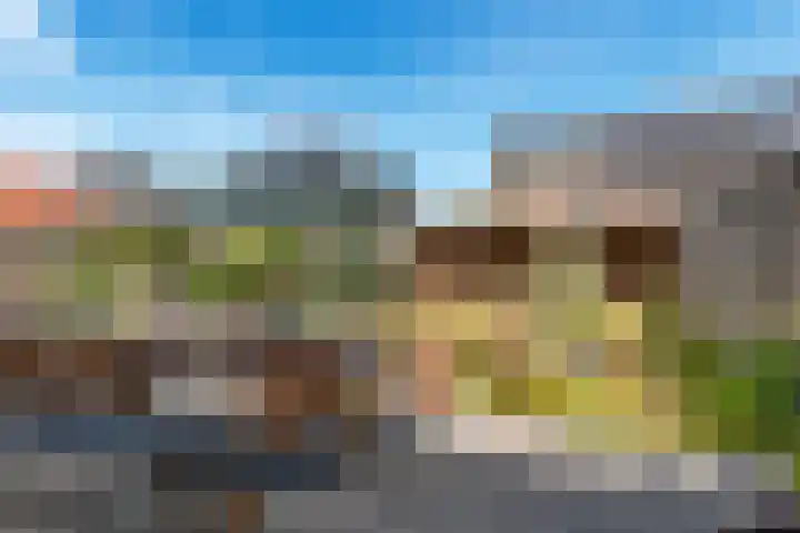 Oranjerie 15 De Goorn thumbnail 28