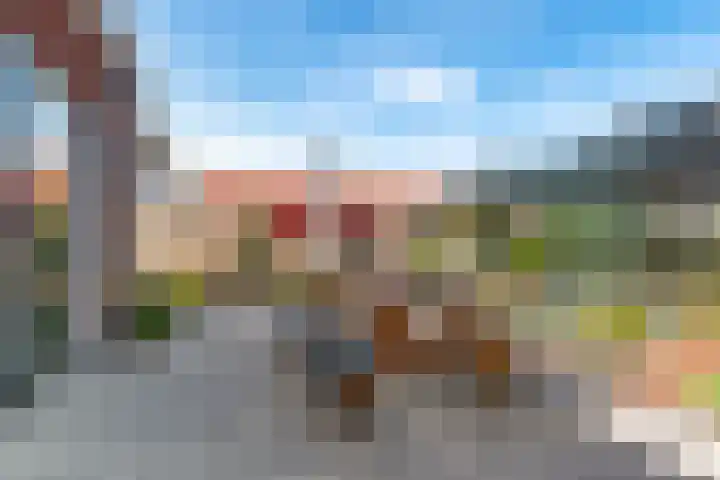 Oranjerie 15 De Goorn thumbnail 29