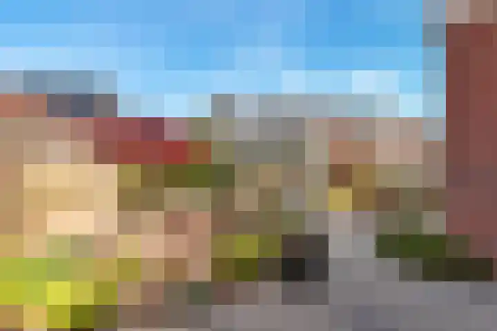 Oranjerie 15 De Goorn thumbnail 30