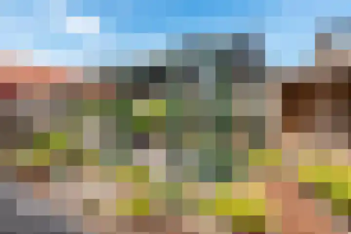 Oranjerie 15 De Goorn thumbnail 31