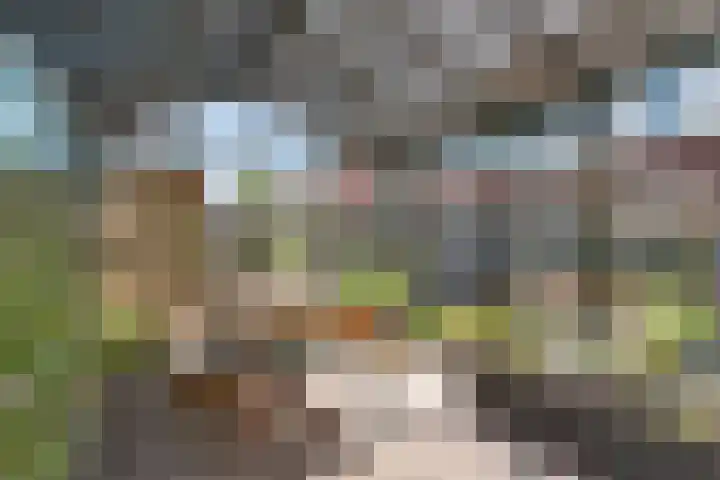 Oranjerie 15 De Goorn thumbnail 32