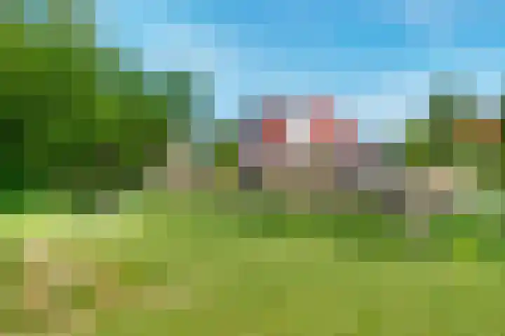Oranjerie 15 De Goorn thumbnail 33
