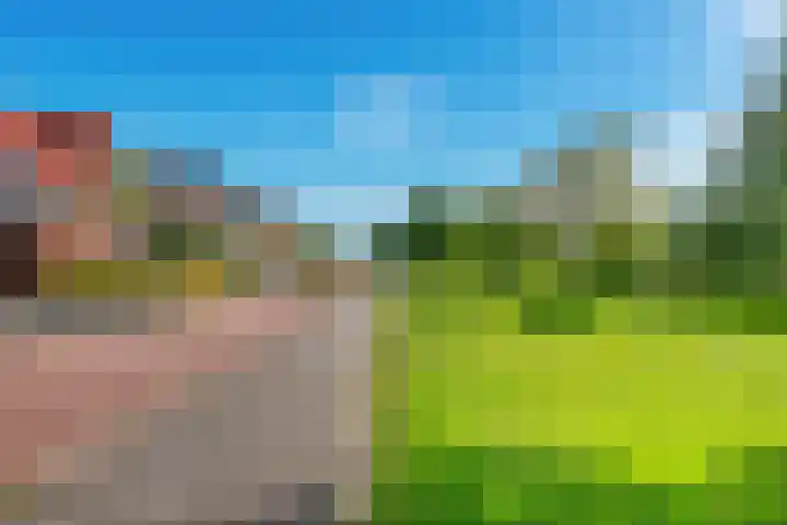 Oranjerie 15 De Goorn thumbnail 34