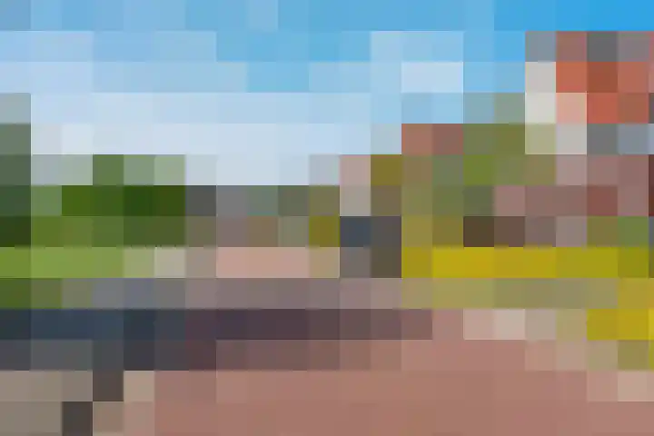 Oranjerie 15 De Goorn thumbnail 35