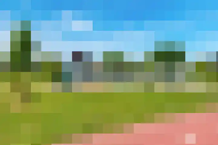 Oranjerie 15 De Goorn thumbnail 36