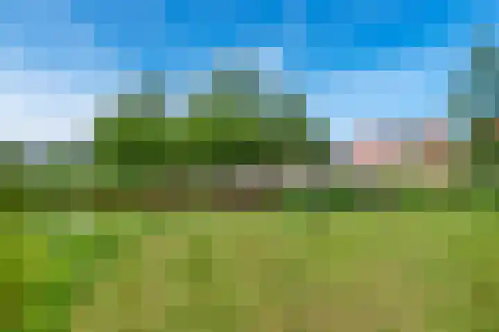 Oranjerie 15 De Goorn thumbnail 37