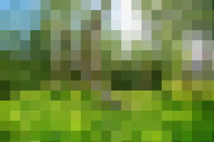 Oranjerie 15 De Goorn thumbnail 38