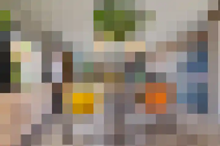 Oranjerie 15 De Goorn thumbnail 5