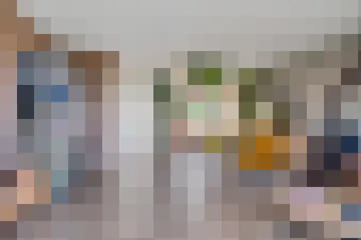 Oranjerie 15 De Goorn thumbnail 7