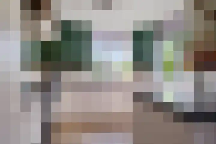 Oranjerie 15 De Goorn thumbnail 9