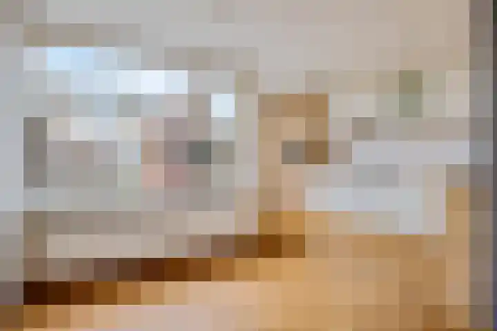 Oranjerie 35 Leek thumbnail 10
