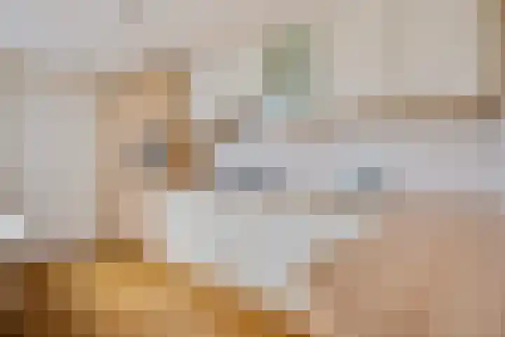Oranjerie 35 Leek thumbnail 13