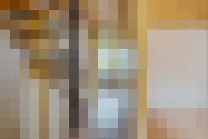 Oranjerie 35 Leek thumbnail 17