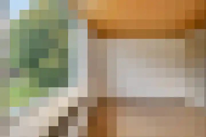 Oranjerie 35 Leek thumbnail 22