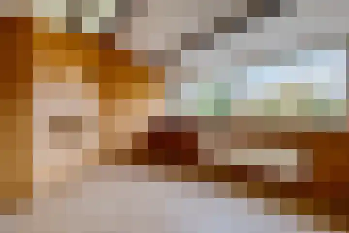 Oranjerie 35 Leek thumbnail 29