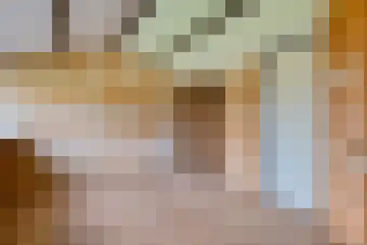 Oranjerie 35 Leek thumbnail 31