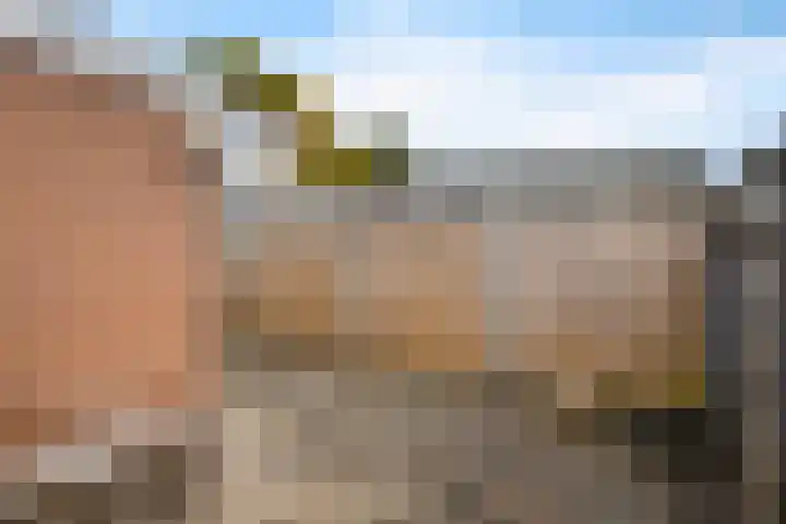 Oranjerie 35 Leek thumbnail 35
