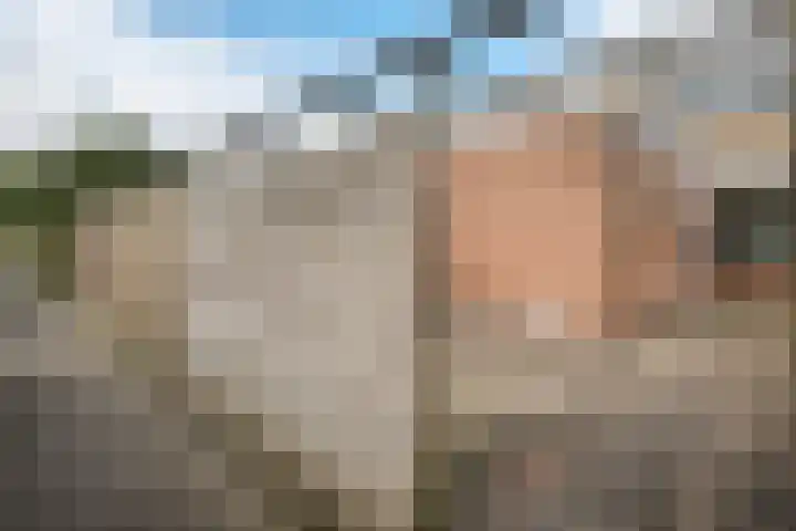 Oranjerie 35 Leek thumbnail 37