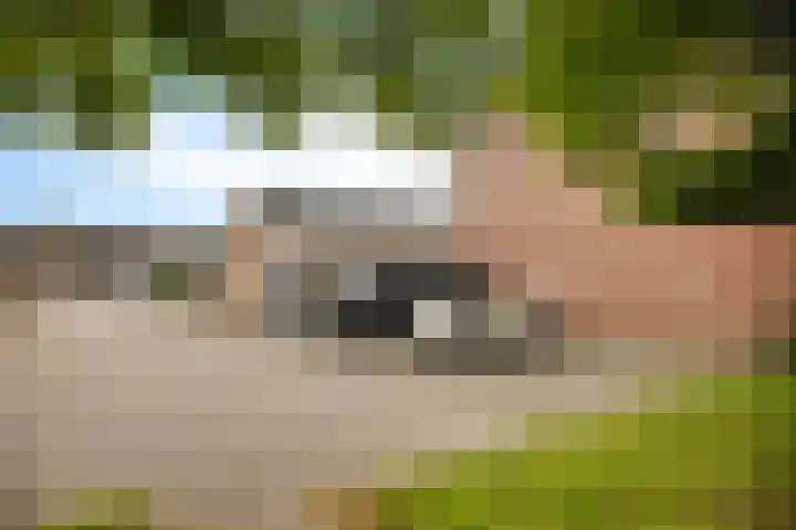 Oranjerie 35 Leek thumbnail 38
