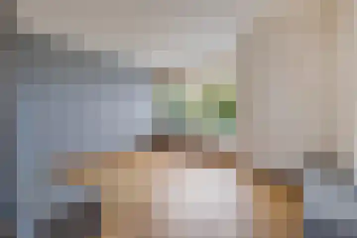 Oranjerie 35 Leek thumbnail 7