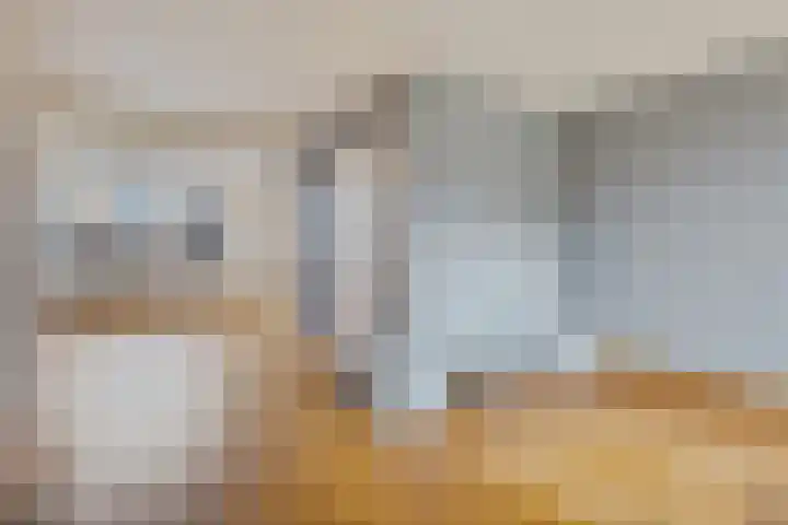 Oranjerie 35 Leek thumbnail 8
