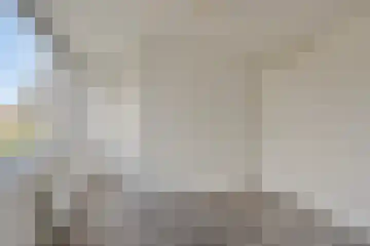 Oranjerie 42 Leek thumbnail 12