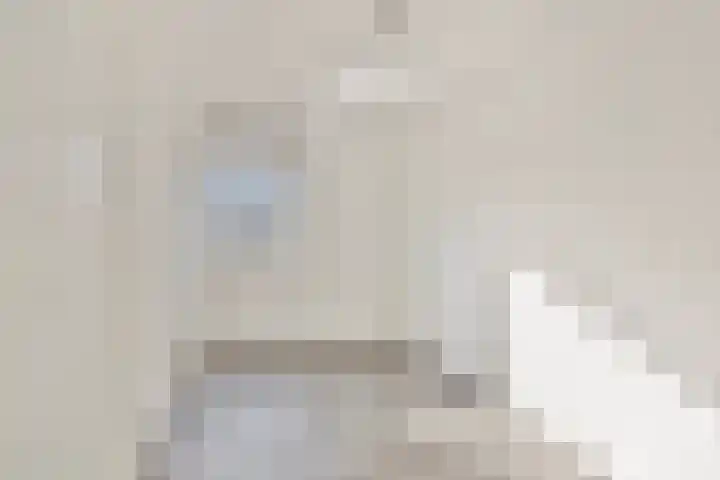 Oranjerie 42 Leek thumbnail 18