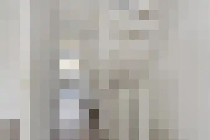 Oranjerie 42 Leek thumbnail 20