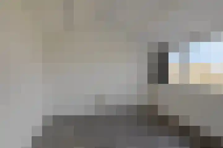 Oranjerie 42 Leek thumbnail 21