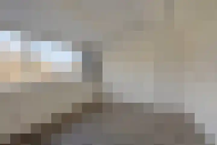 Oranjerie 42 Leek thumbnail 22