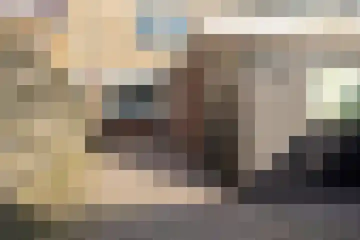 Oranjerie 42 Leek thumbnail 23