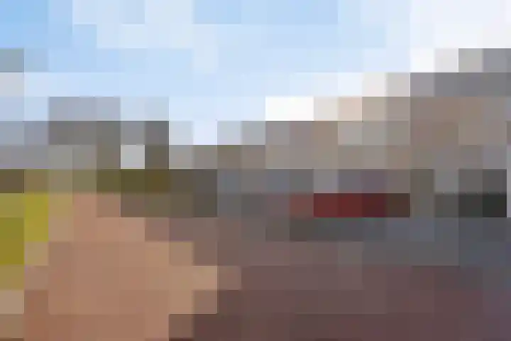 Oranjerie 42 Leek thumbnail 25