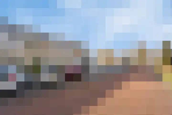 Oranjerie 42 Leek thumbnail 26