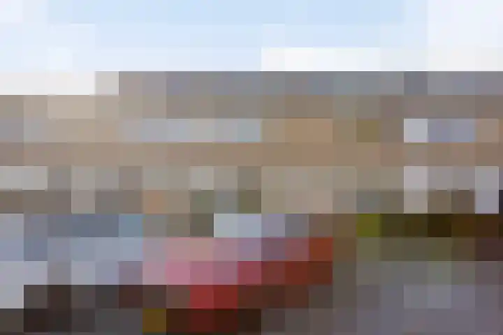Oranjerie 42 Leek thumbnail 28