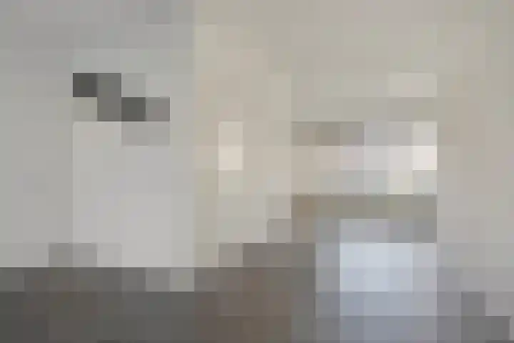 Oranjerie 42 Leek thumbnail 4